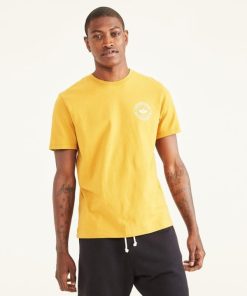 Lilazen.com2f73ed66df 1