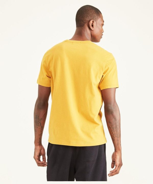 Lilazen.com2f73ed66df 2