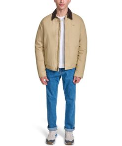 Lilazen.com3c861fc27c 1