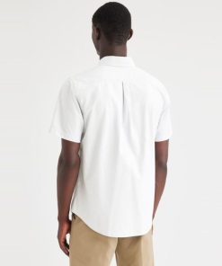 Lilazen.com3f91344c1f 2