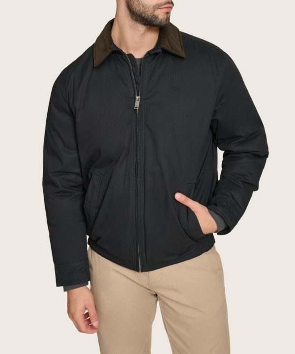 Lilazen.com443dd7ead0 1