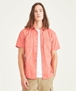 Lilazen.com6a33f7d787 1