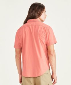 Lilazen.com6a33f7d787 2