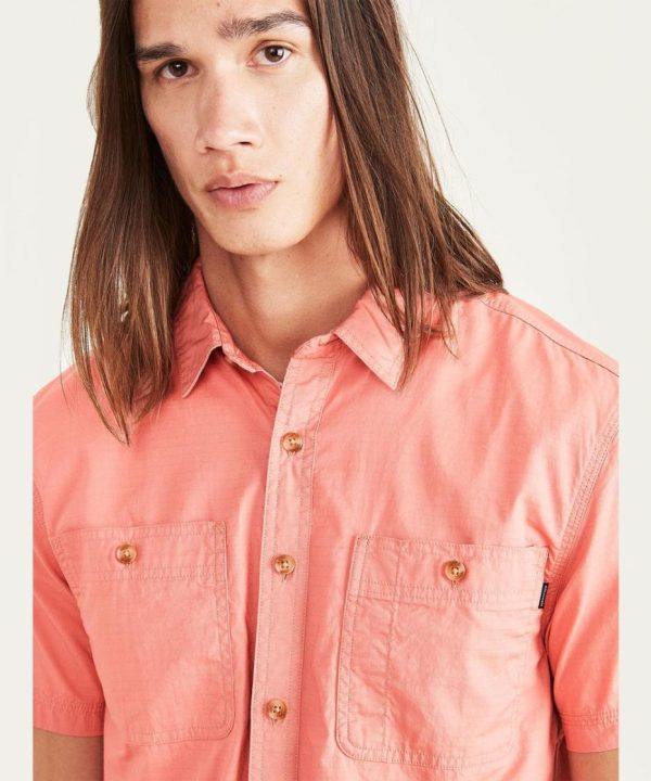 Lilazen.com6a33f7d787 3