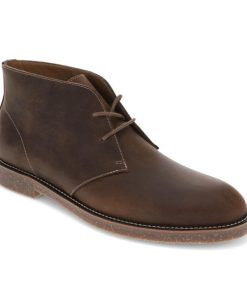 Lilazen.com7bc8b4ec21 1