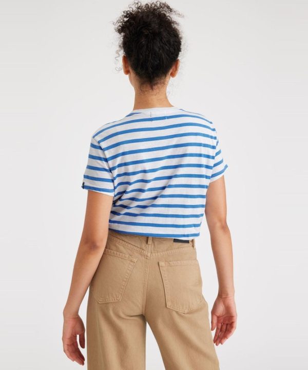 Lilazen.com896c0690a2 2