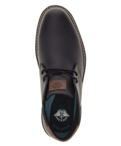 Lilazen.com8f0b9ea1c1 4