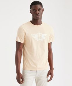 Lilazen.coma0004094e5 1