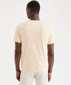 Lilazen.coma0004094e5 2