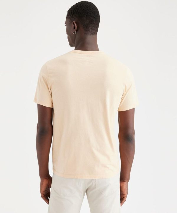 Lilazen.coma0004094e5 2