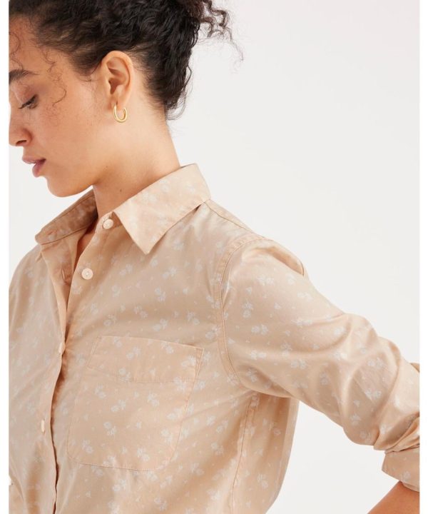 Lilazen.comd5871c80fb 3