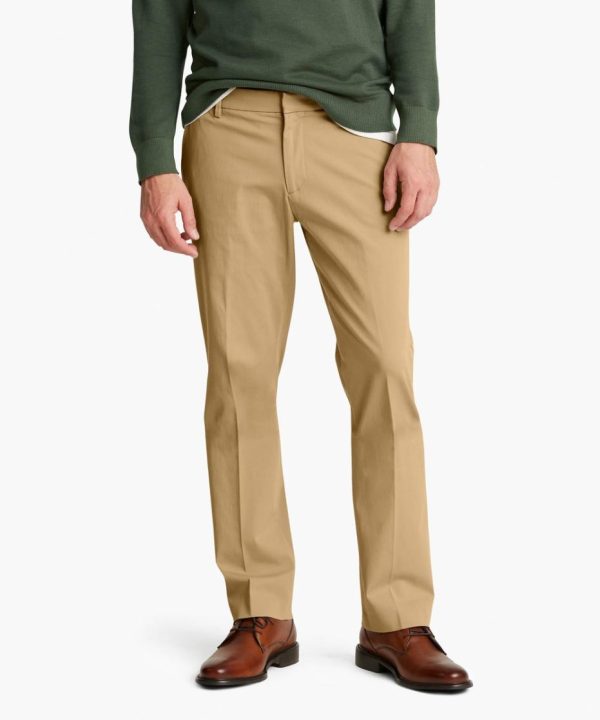 Lilazen.comd59ec8b100 1