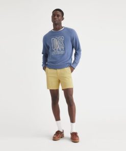 Lilazen.comf66fb26ba5 1